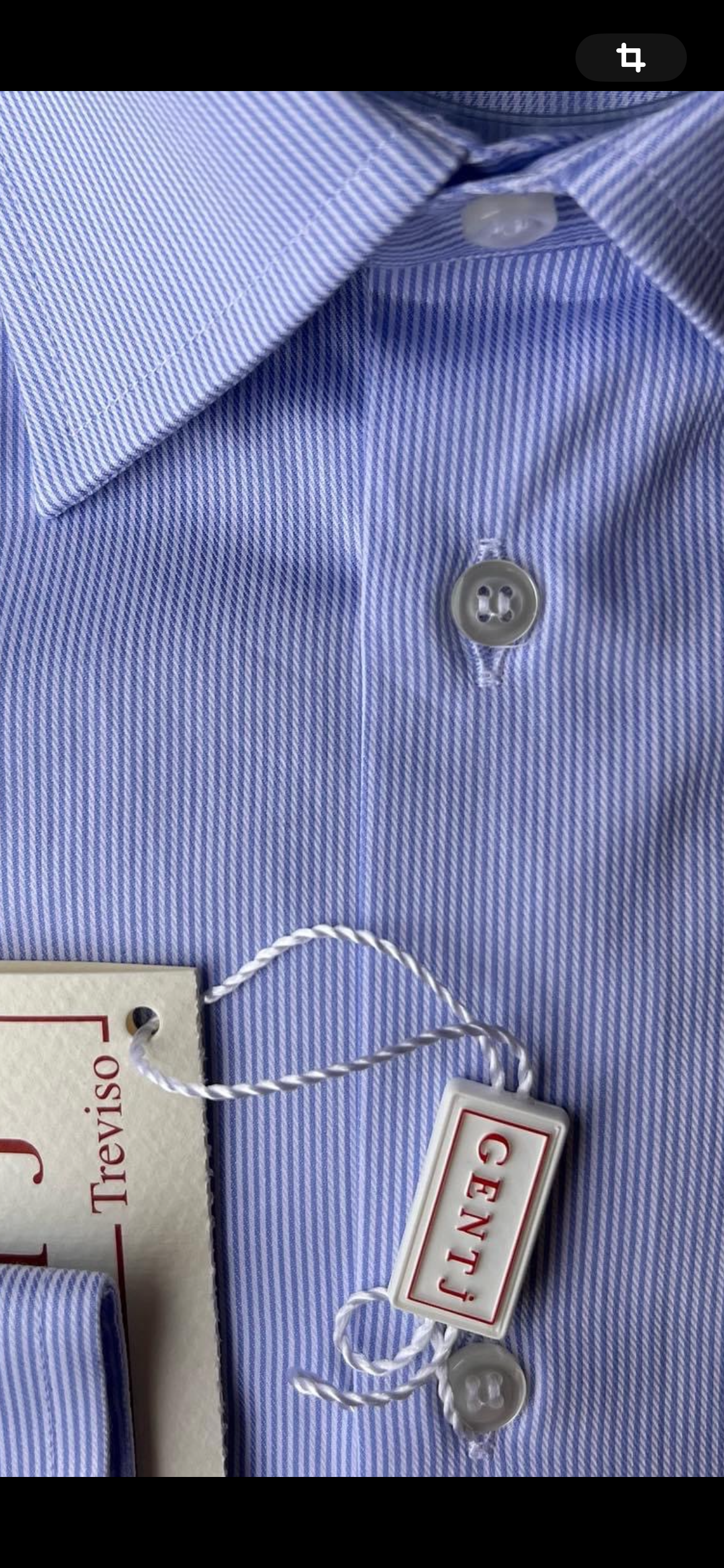 Righine celesti collo italiano
